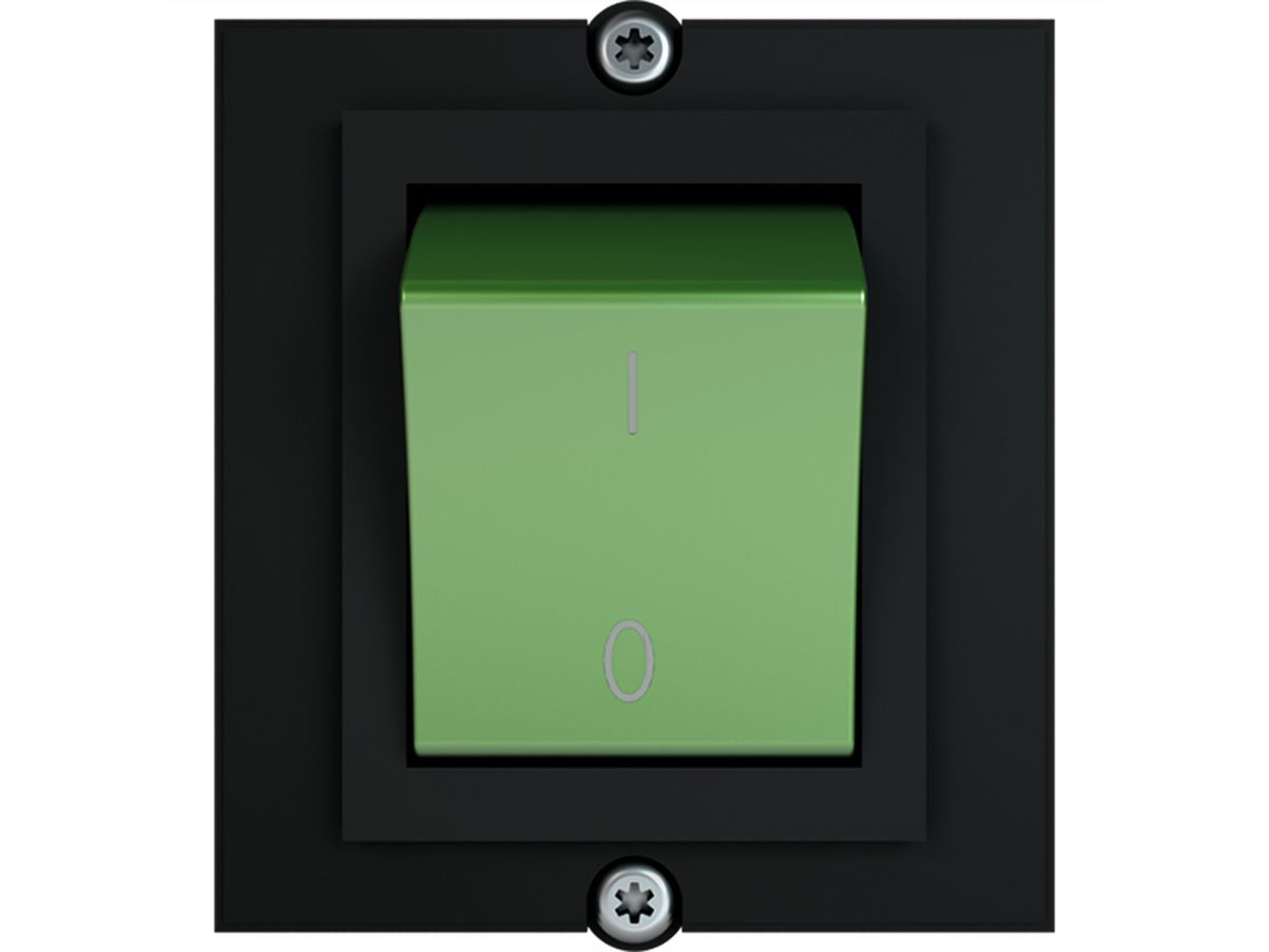 BACHMANN Rahmen 1x Schalter 2-polig grün, Strom 1,0m AEH